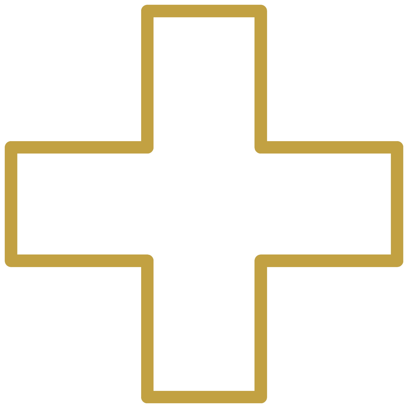 Immunity cross icon