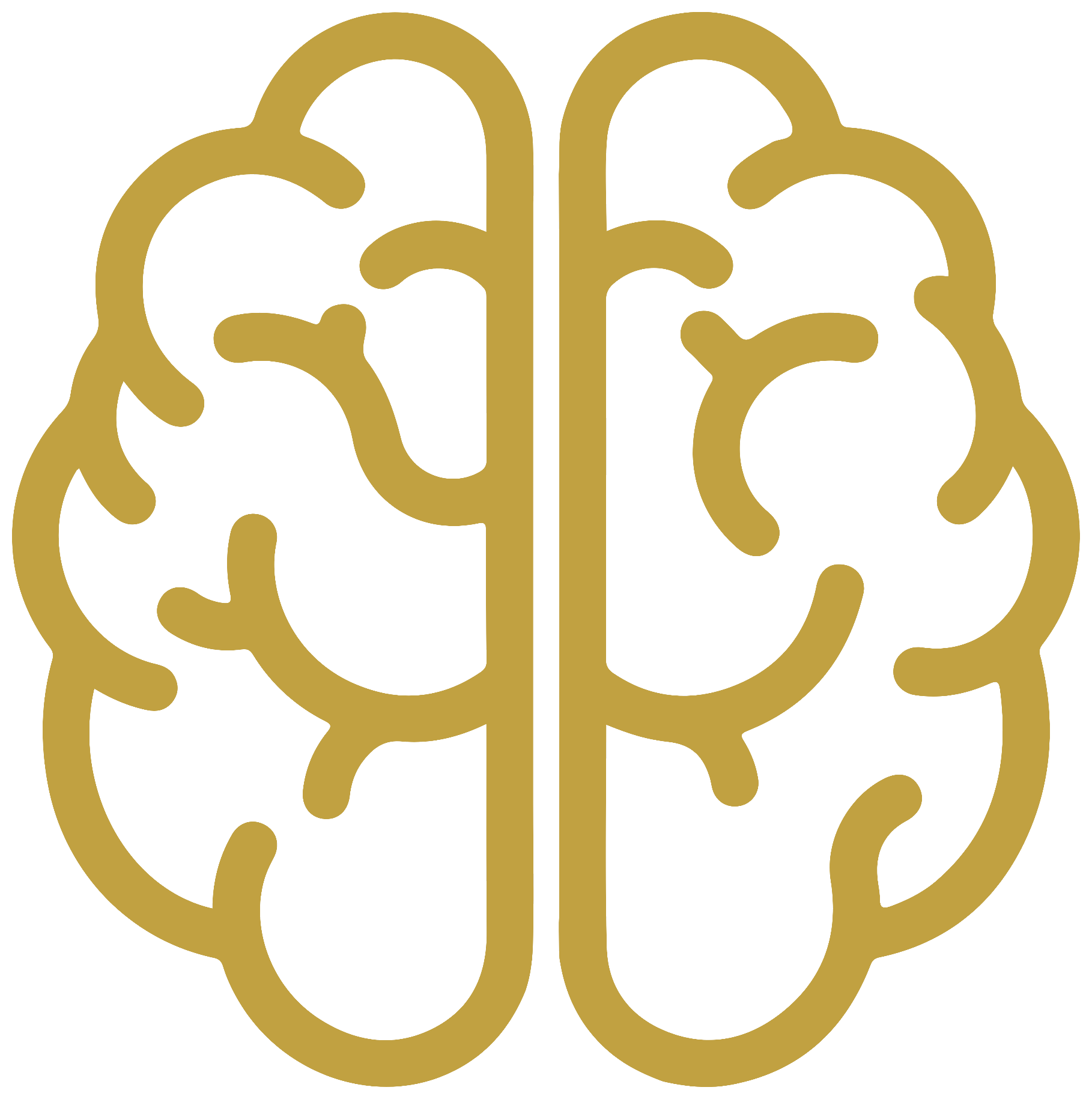 Focus brain icon