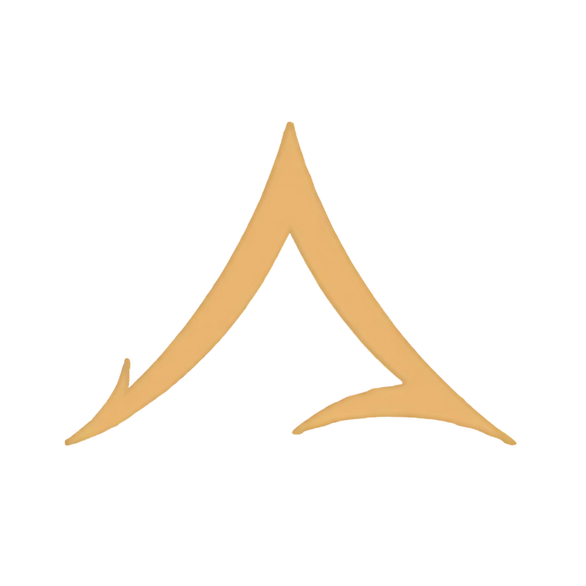 PEAKDAY icon